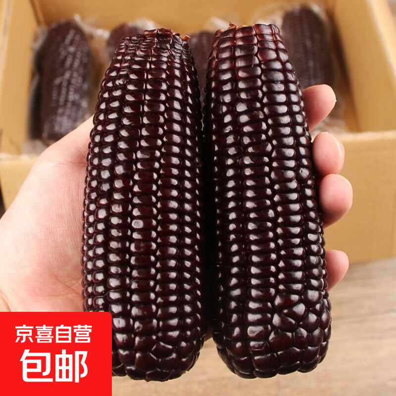 山东黑玉米 生玉米棒 甜粘糯粗粮杂粮代餐低脂代餐真空锁鲜速食 8根装180-200g 源头直采包邮