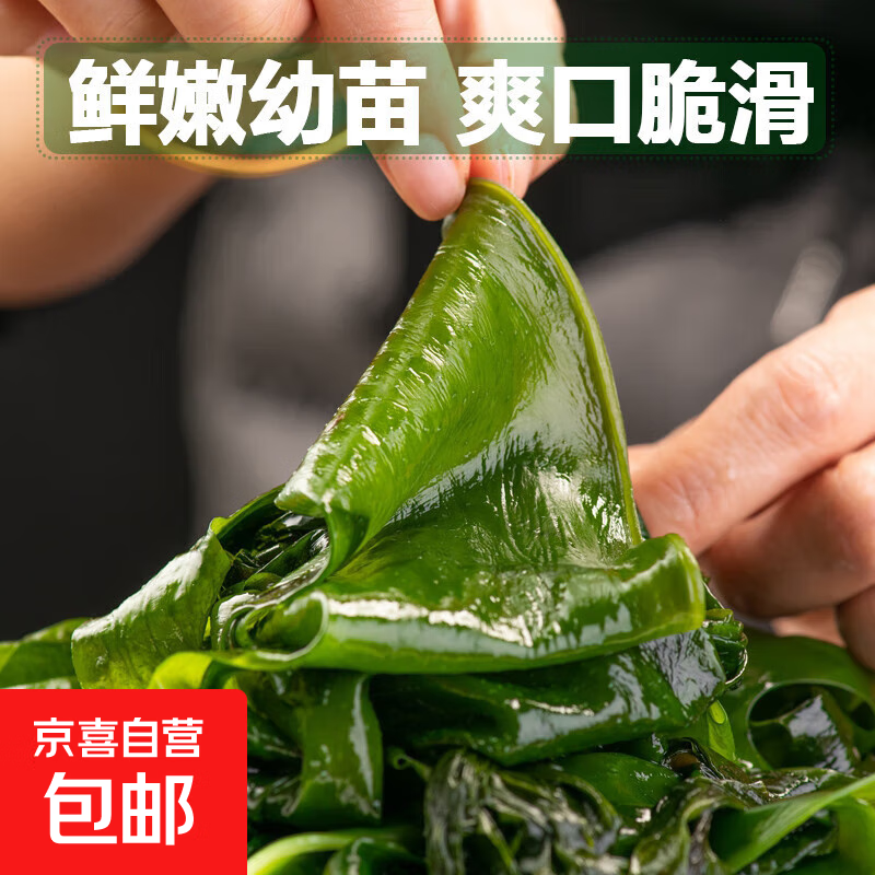 大连裙带菜嫩叶500g