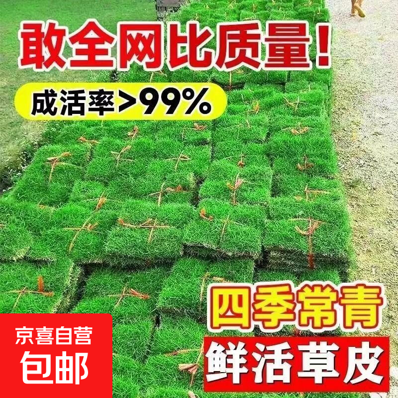 ���ʴ����������ļ������Ƥ���ƺ����̳���ͥԺ�����ƽ���� �ļ������ƺ��20ƽ���� 399Ԫ