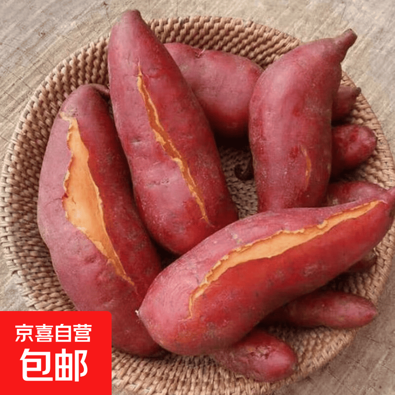 湛江源头直发新鲜红心西瓜红红薯蜜薯现挖现发沙地地瓜 净重2斤 小果50g起