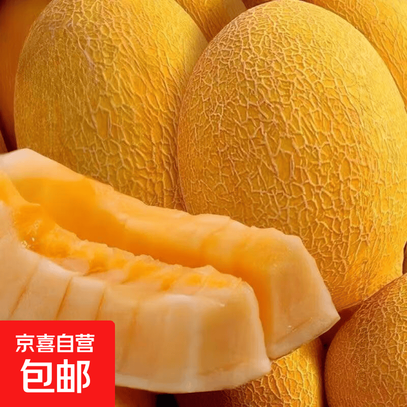新鲜头茬金色年华黄金哈密瓜当季新鲜水果哈密瓜 8-9斤装