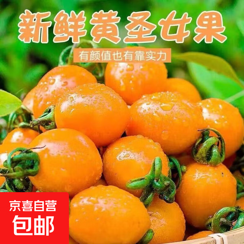 现摘黄色圣女果新鲜水果樱桃小番茄非千禧夏日阳光小西红柿-辽丹 1斤（带盒） 黄色圣女果