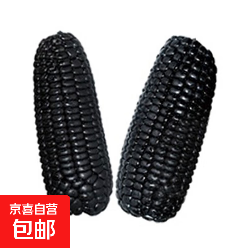 山东黑玉米 生玉米棒 甜粘糯粗粮杂粮代餐低脂代餐真空锁鲜速食 2根装180-200g 源头直采包邮