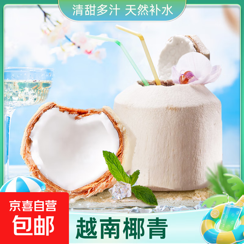 越南进口椰青单果奥英 当季新鲜水果 赠开椰器和吸管 1粒尝鲜 单果850g+
