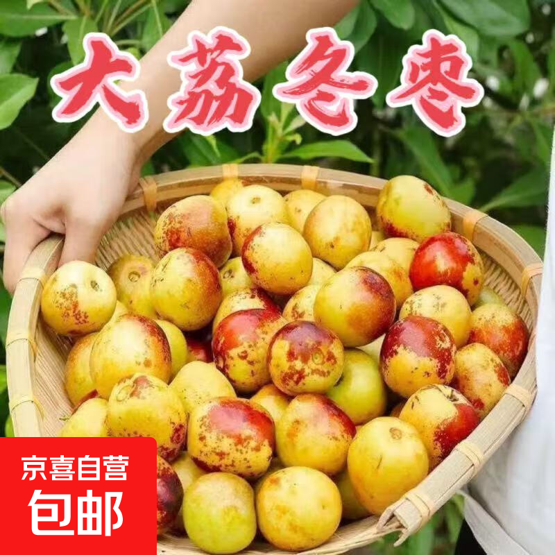 【果园现摘】正宗脆甜大荔冬枣现摘新鲜脆甜青枣当季新鲜水果 带箱2斤装（单果8-12克）