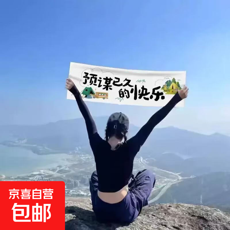手机拍照神器手持小横幅露营氛围感拍照道具 手幅713【预谋已久的快乐】