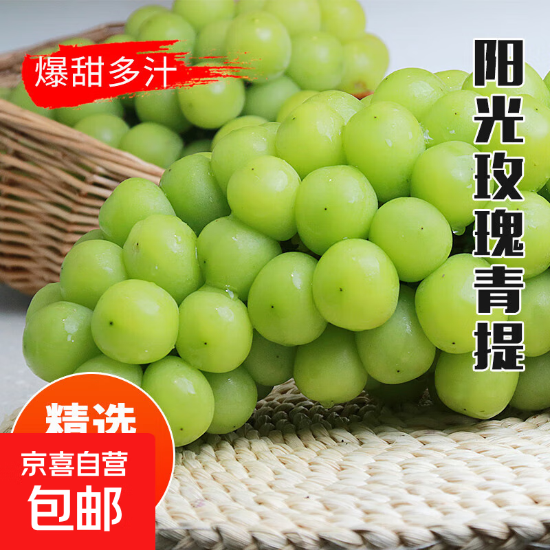 阳光玫瑰青提 葡萄提子生鲜水果 阳光玫瑰 带箱4斤10克+净重3-3.5斤