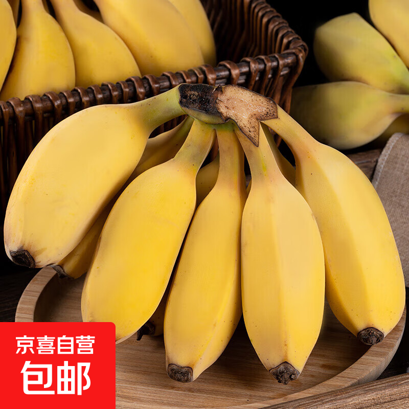 广西小米蕉新鲜水果鲜维皮薄肉厚青蕉发货香甜软糯自然熟芭蕉 带箱2斤