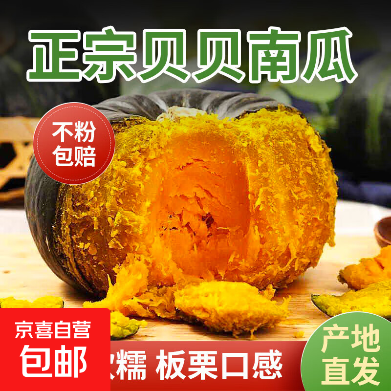 贝贝南瓜正宗板栗味小南瓜新鲜宝宝辅食粉糯营养丰富优质老南瓜 贝贝南瓜净重 5斤
