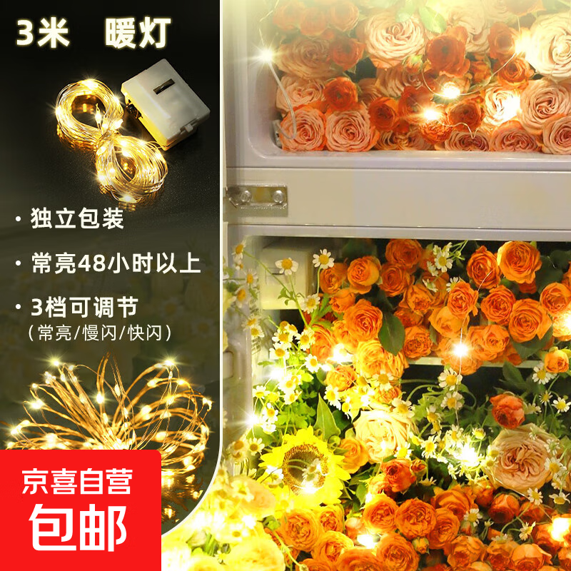 灯串小彩灯闪灯串灯满天星灯礼物盒装饰房间生日场景布置氛围灯带 暖白3米30灯【自带电池】