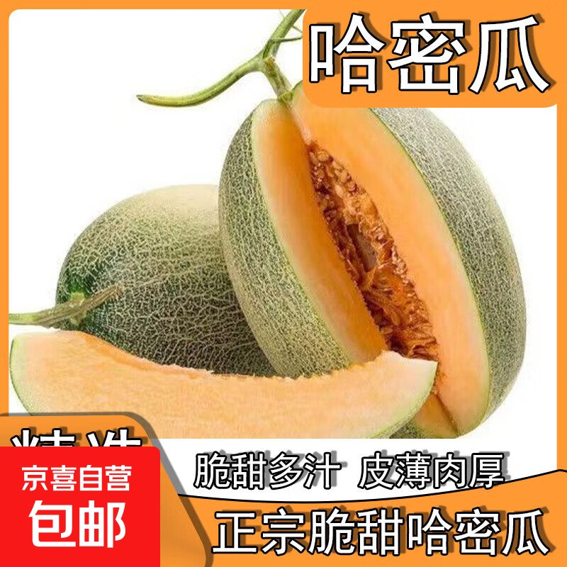 晓蜜25号爆甜哈密瓜新鲜现摘应季水果西州蜜 中小果单果≥750g2斤净重750g