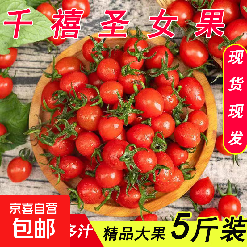 千禧圣女果新鲜小番茄樱桃小柿子孕妇水果现摘现发新鲜蔬菜 新鲜圣女果净重 1斤 带箱