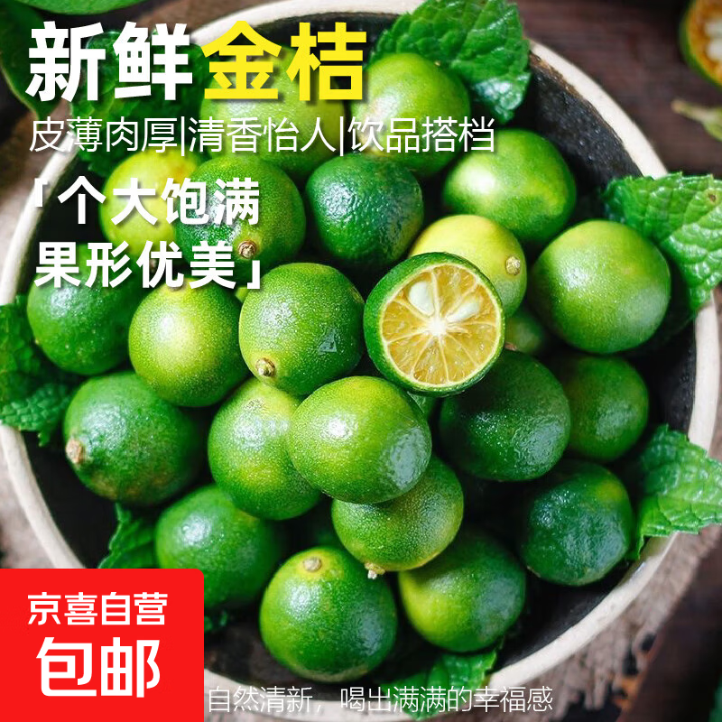 海南小金桔新鲜青柠檬青柑皮薄应当季奶茶店水果柠檬青桔皮薄多汁 金桔（5-10g）250g