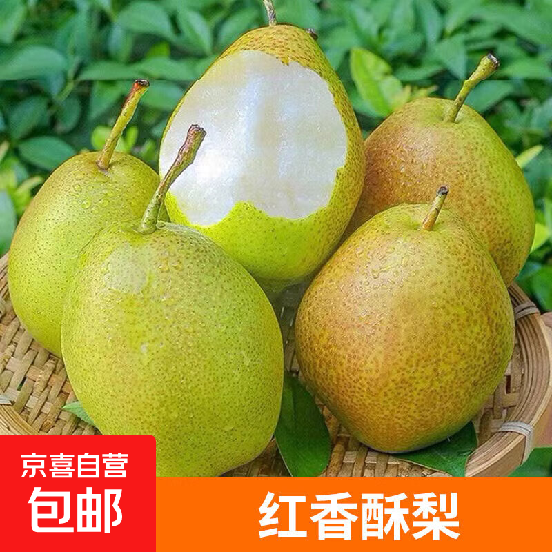 红香酥梨 薄皮青酥梨脆蜜雪梨香梨梨子当季水果新鲜整箱 红香酥梨2粒装单果100g+