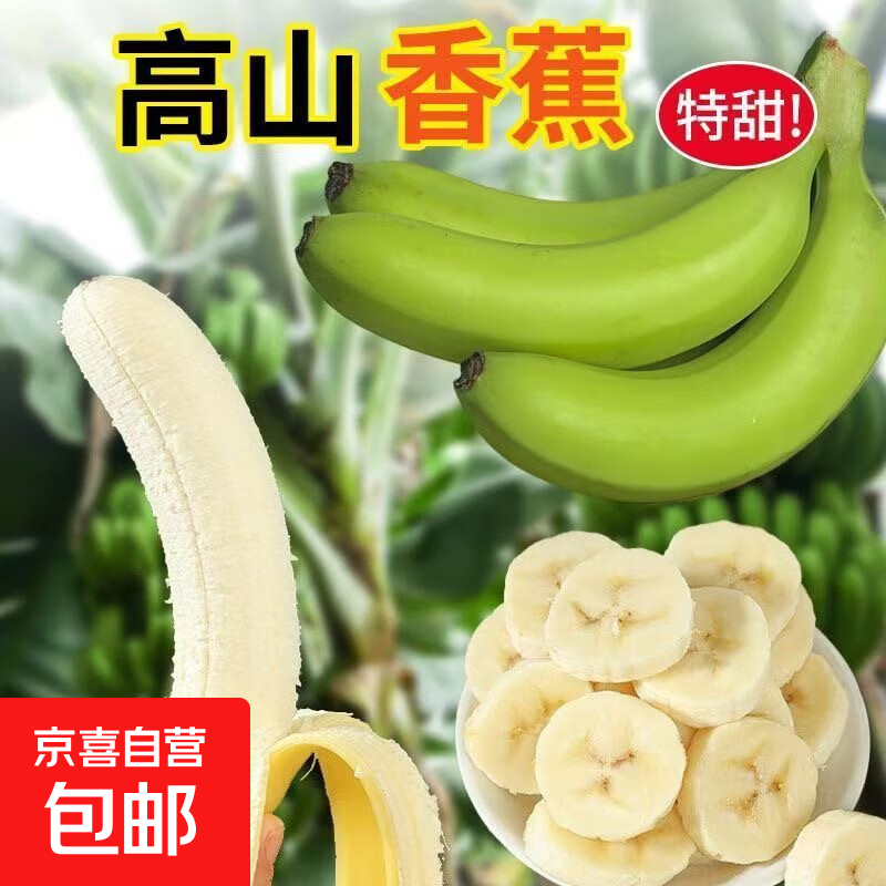 高山香蕉新鲜现摘批发不添加催熟剂雨一青皮纯天然原生态软糯香甜 5斤净重