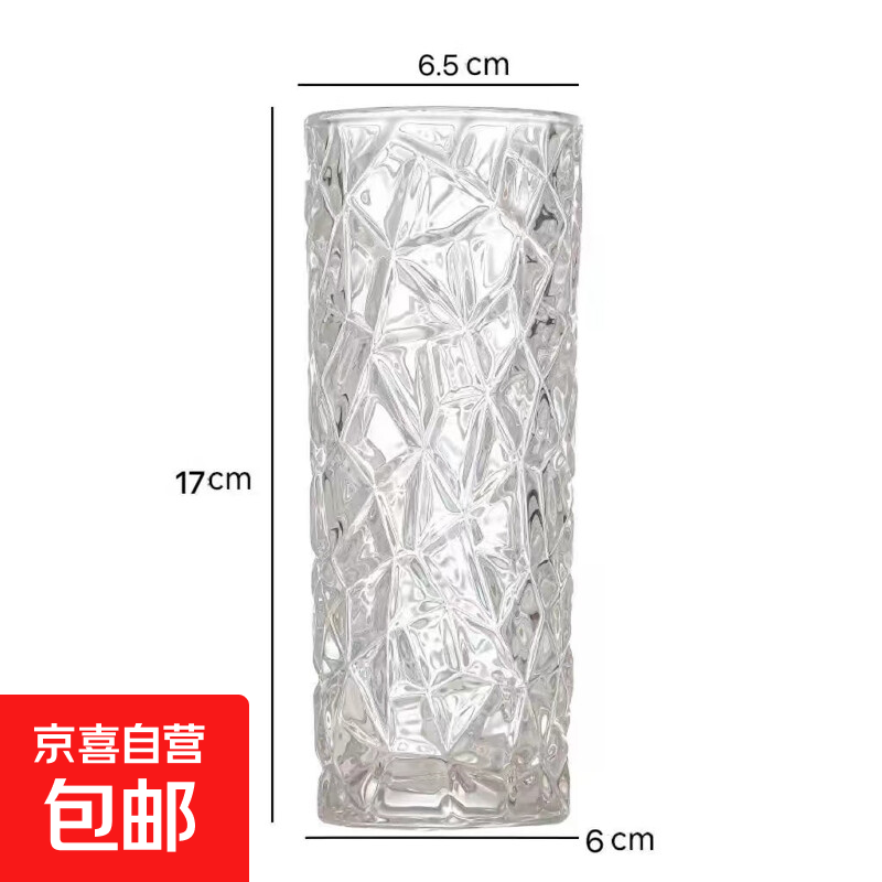 轻奢玻璃花瓶透明水养鲜花富贵竹ins风插花器皿客厅桌面装饰摆件 小号透明冰纹 17cm