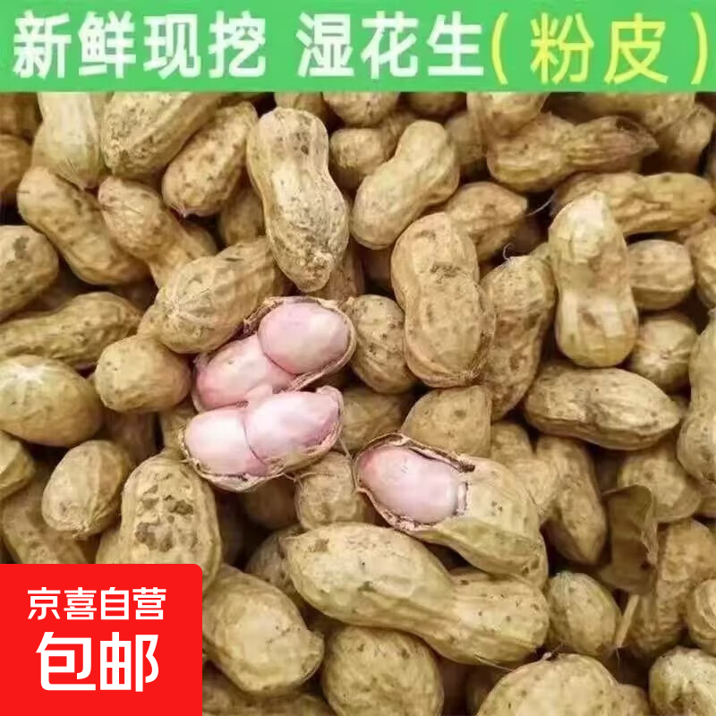 新鲜花生现挖带壳花生湿农家自种 粉白皮湿花生 新鲜花生净重5斤
