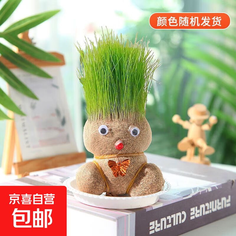 草头娃娃头上长草人小盆栽种植浇水长头发儿童种草幼儿园网红开花 长草娃娃1个+托盘+喷壶1