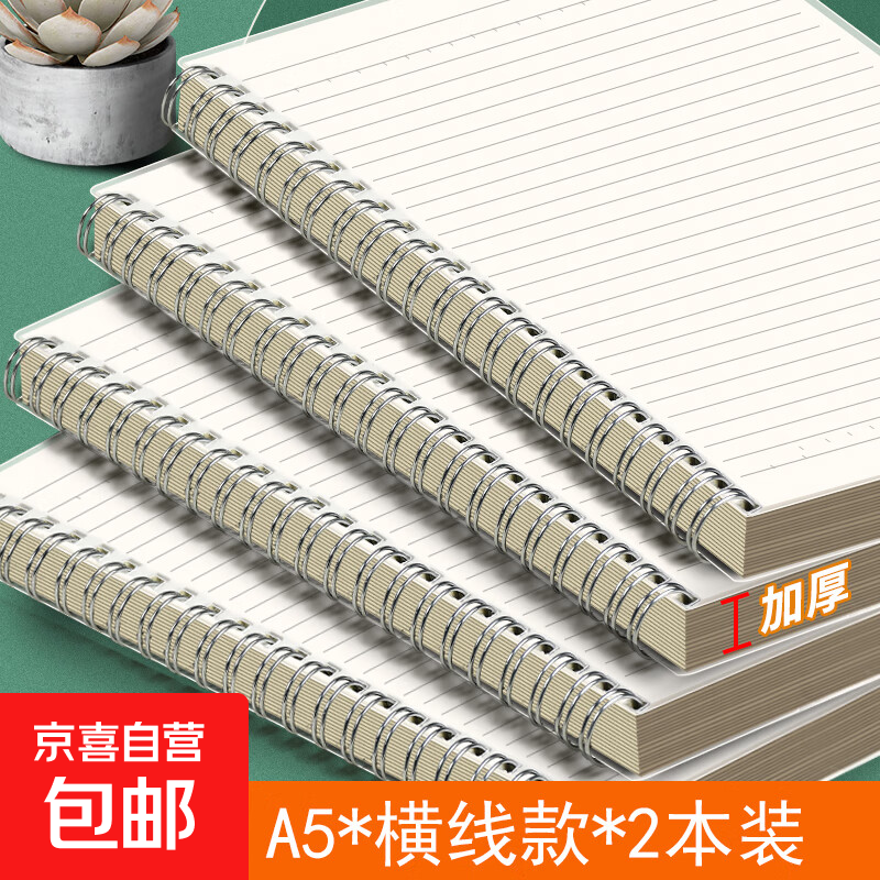 【老师推荐】热销十万线圈本b5笔记本子得力同款日记本简约大学生考研大号加厚本子记事本错题摘抄 A5横线-2本装（160张）