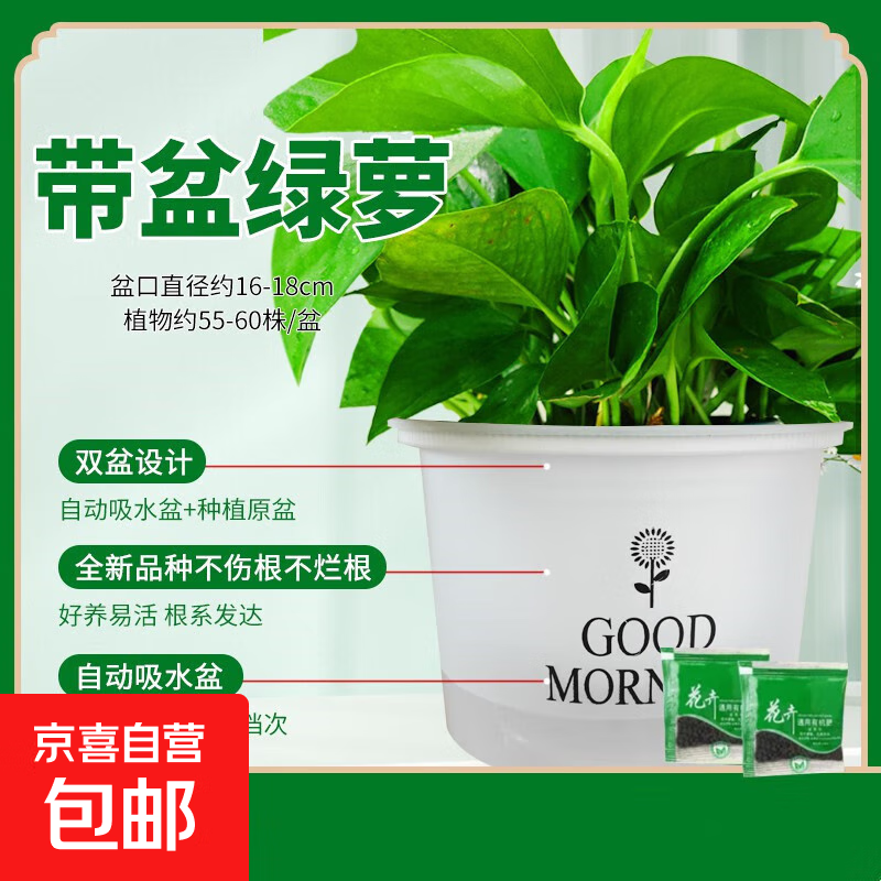 ���ܳ���ȩ�ʺ��·�����ȩ������ֲ��������ֲ������ȩ�������� 2��ڷ�26�������簲������ˮ���ͷ��� ����ȩ�������� 35.9Ԫ