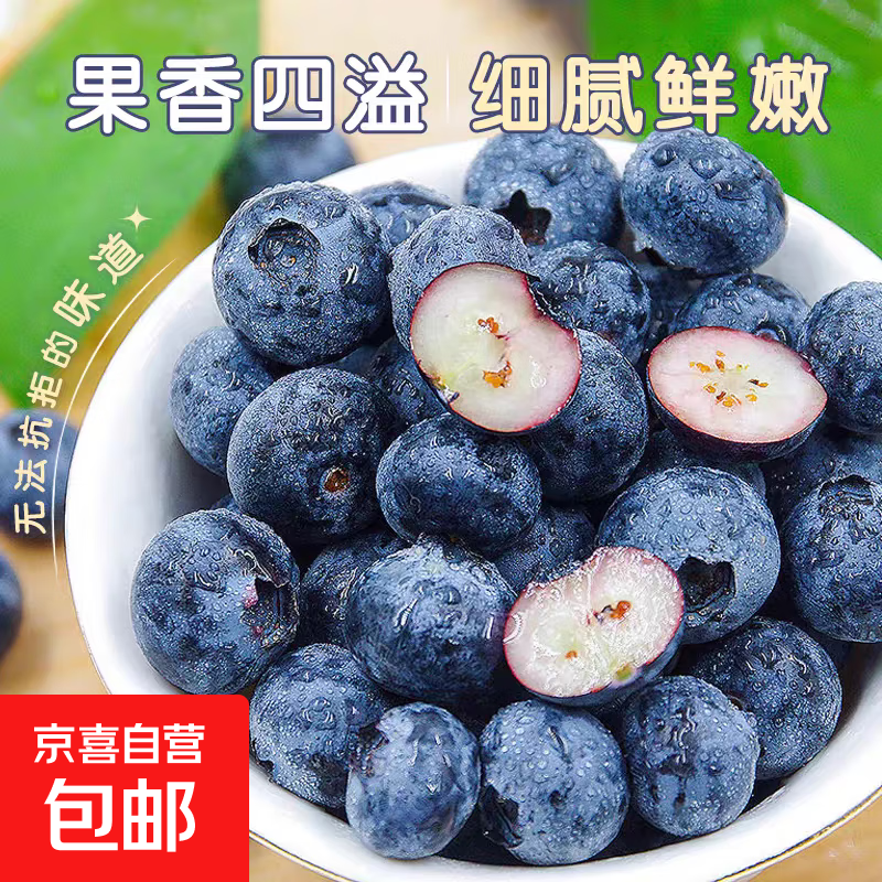 【京东包邮】秘鲁进口大果蓝莓新鲜生鲜水果应季时令莓果 蓝莓中果单果14mm+ 秘鲁蓝莓热卖125g*4盒装