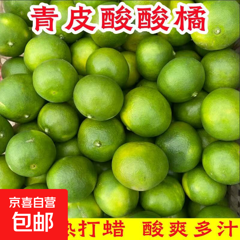 酸甜云南新鲜青橘孕妇青皮当季无籽橘子桔子薄皮水果多汁一整箱 带箱1斤55-60mm