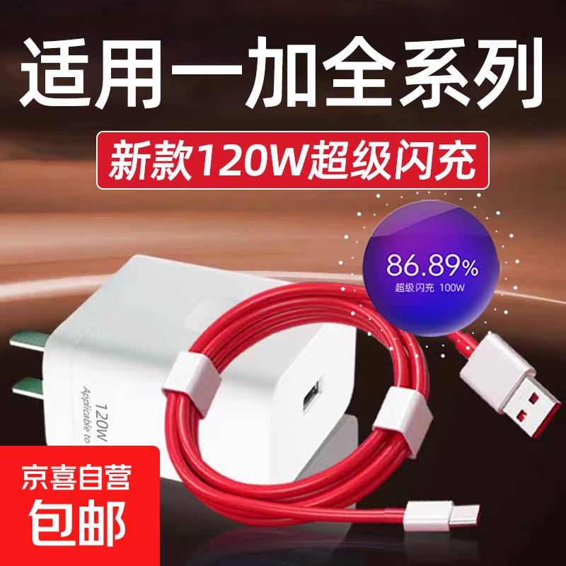 适用一加120W超级闪充1+13/12/11/10Pro充电器Ace竞速版ace2 3v 5pro闪充头一加9/8/7T充电头10A快 适用一加全系列[120W闪充头+2米线]