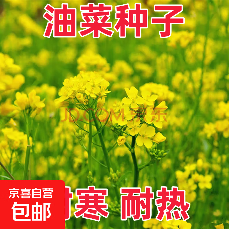 �������ӻ����ļ����׻��ļ����������ʻ�������ֲͥԺ���ڶ����� �Ͳ����� 500�ˣ���ʵ�ݣ� 22.86Ԫ��3��(��7.62Ԫ/��)