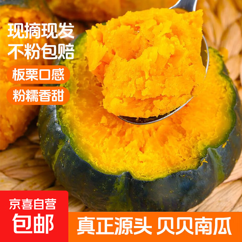 正宗贝贝南瓜 净重1-5斤 板栗口感 源头直发粉糯香甜辅食美味粗粮 4.5斤 单果 250g+不粉包赔