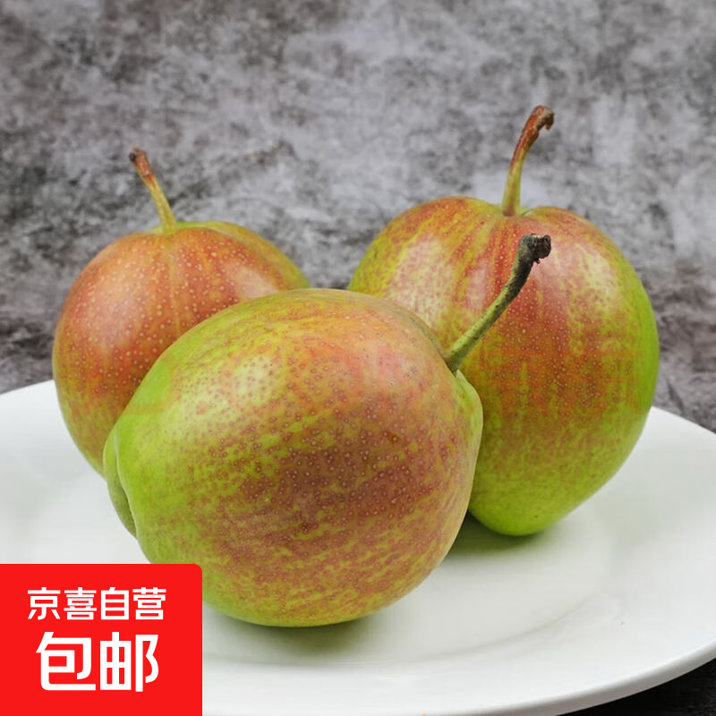 京喜加正宗河北香梨特级新鲜水果梨子当季脆甜多汁远达新1 带箱2斤单果120+
