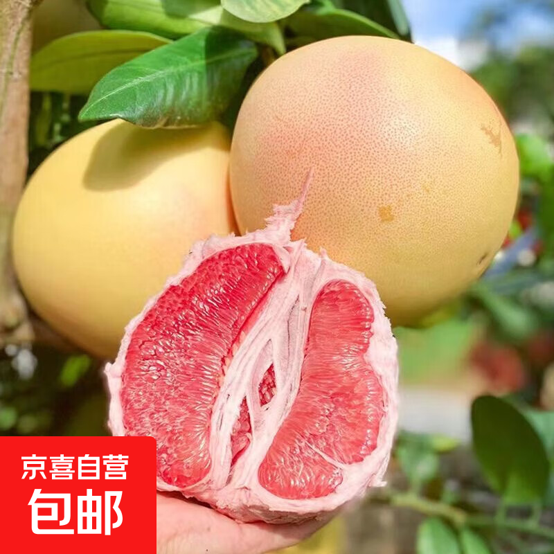 【酸甜多汁】新鲜现摘正宗福建平和红心柚子当季新鲜三红柚子盛源 红心蜜柚单果1-1.5斤