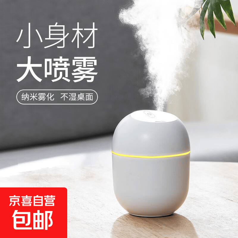 加湿器小型迷你USB车载桌面空气喷雾家用大雾卧室净化补水 彩蛋-纯白