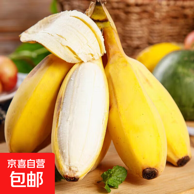 京喜加正宗广西小米蕉苹果蕉香蕉新鲜水果用苹果催熟宝宝蕉水果冰浪 带箱5斤