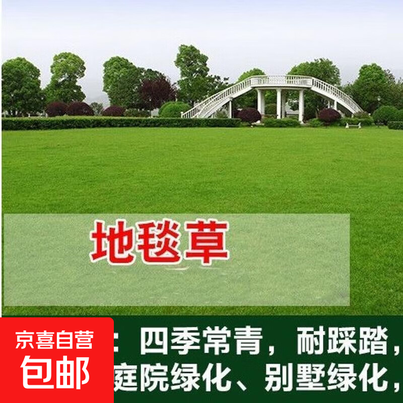 ��ƺ�����ͺ��ͺ���ƺ�����ļ������̻����޼��������ѻ��¹����� ��̺�ݻ첥 500g/���������