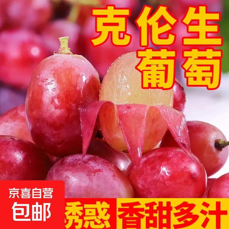 现摘云南新鲜克伦生无籽提红提葡萄生鲜提子水果肉多多礼盒 克伦生无籽提带箱5斤