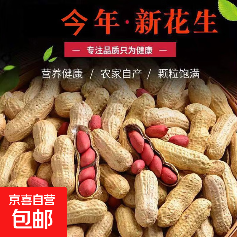 红皮花生 四粒红花生仁带壳花农家新货带壳红花生米五谷杂粮 红皮花生2斤 带壳