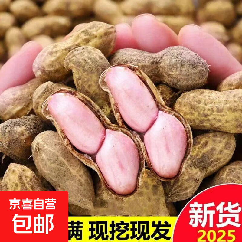 应季新鲜沙地带壳鲜花生农家自种现挖现发蔬菜批发京东包邮 带箱 带壳花生1斤