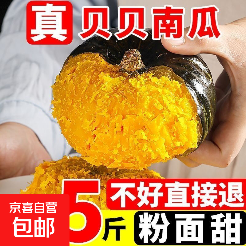 正宗贝贝南瓜板栗味婴儿辅食正品粉糯小个南瓜老南瓜减脂主食宝宝 净重 4.5斤 【源头直采包邮】约4-9个