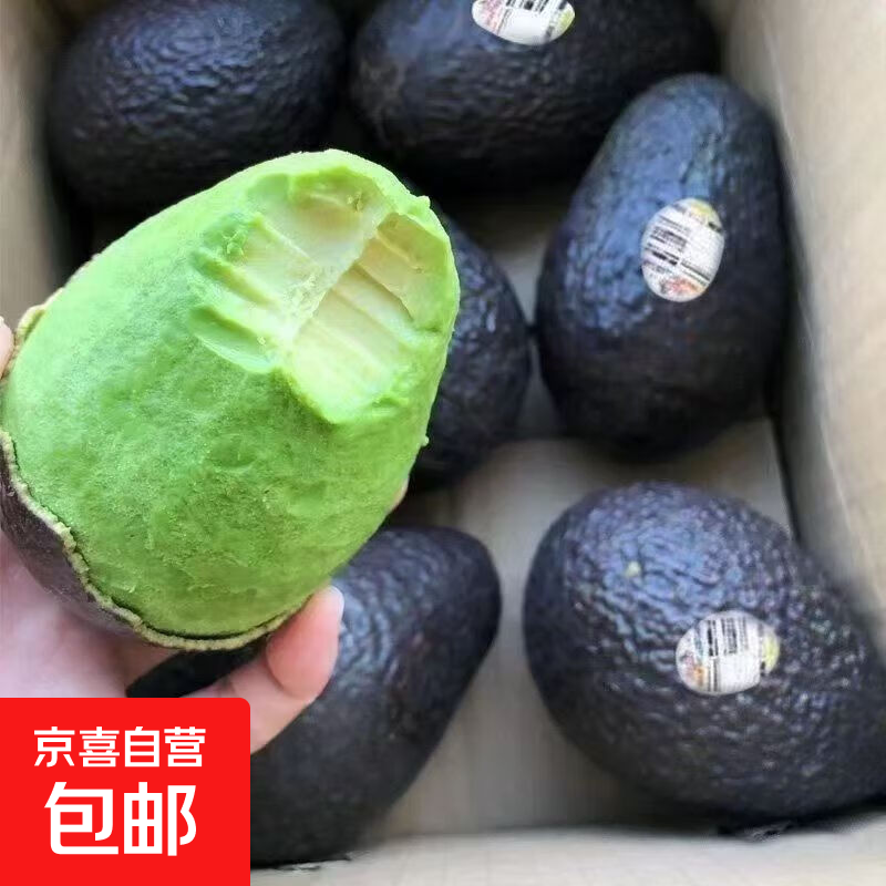 牛油果进口尝鲜单果重70-100g 4/8个装宝宝辅食装新鲜包邮 8个装 单果重70-100g
