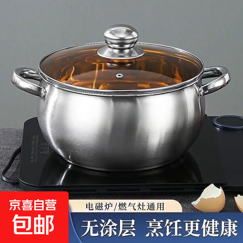 不锈钢汤锅电磁炉炖锅家用加厚双耳煲汤锅 20cm汤锅有盖