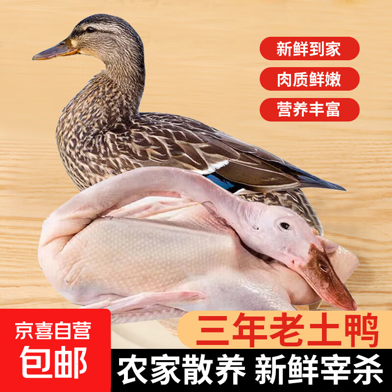 土鸭麻鸭3年老鸭子 农家散养老鸭新鲜冷冻鸭肉整只煲汤食材 老鸭5-6斤