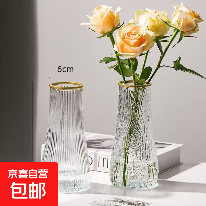 玻璃花瓶透明植物插花瓶水培容器大花瓶装饰客厅摆件 【热销】透明水波纹（17*5.5*8） 1个装