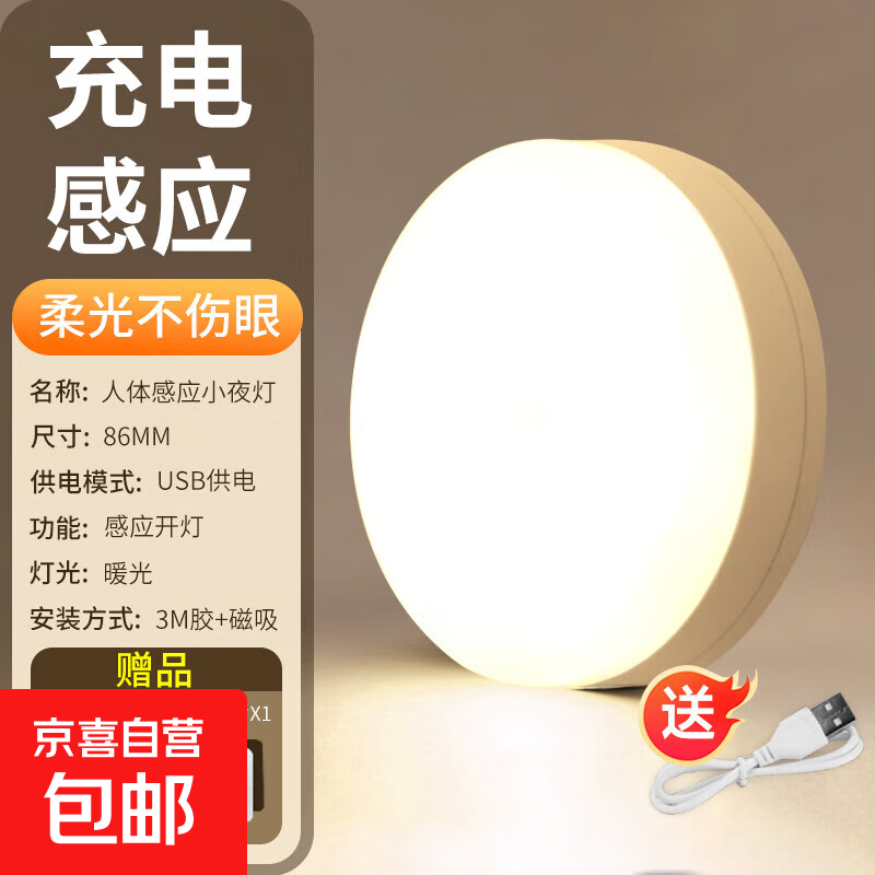 2025新款人体感应灯夜间自动亮灯宿舍家用床头智能声控充电小夜灯 暖光 感应充电款