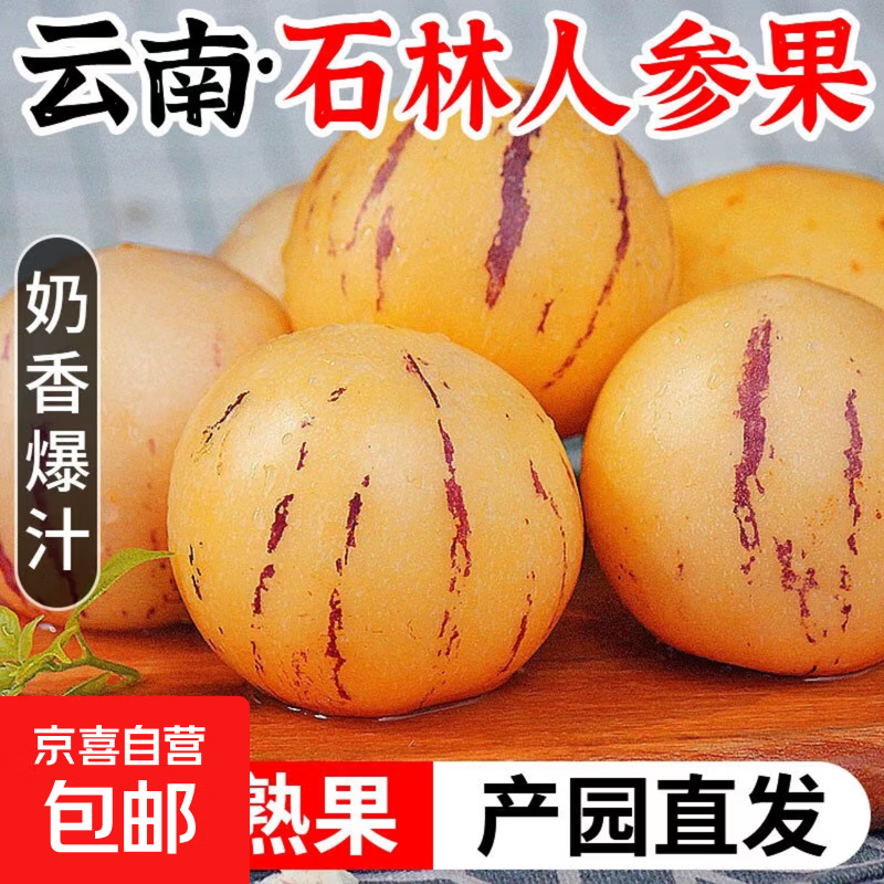 云南石林人参果圆果树上熟 整箱包邮-云邑 单果50g起 1斤