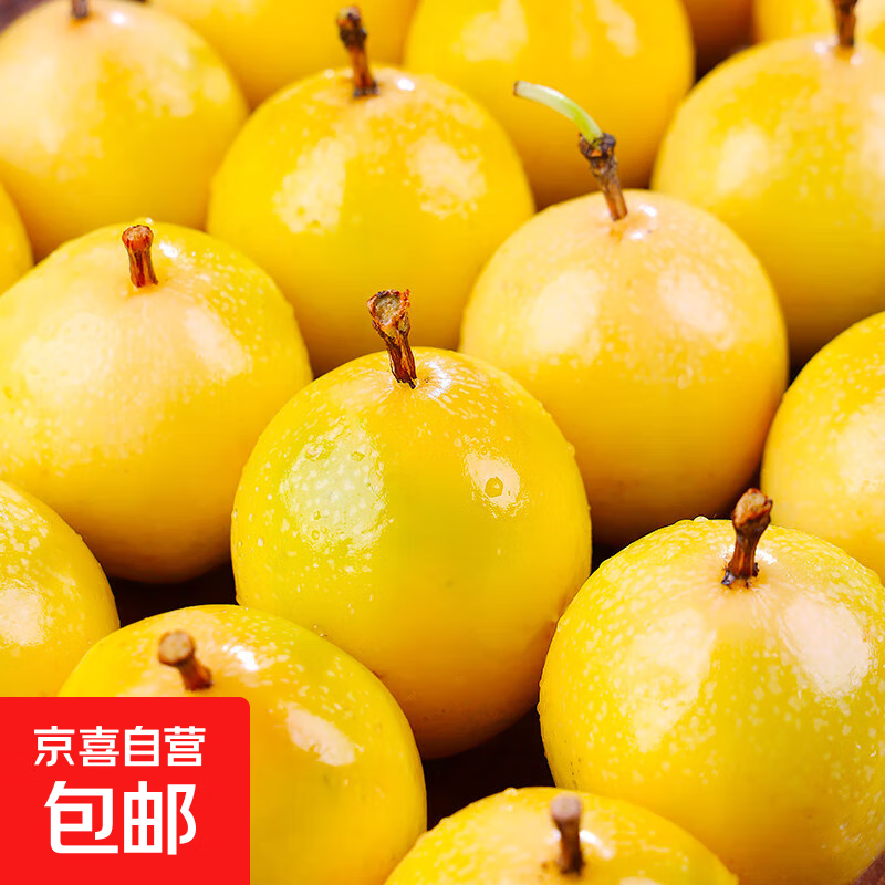 广西钦蜜9号黄金百香果聪记新鲜水果当季整箱百香果包邮大原果浆 小果20个装【单果30-45g】