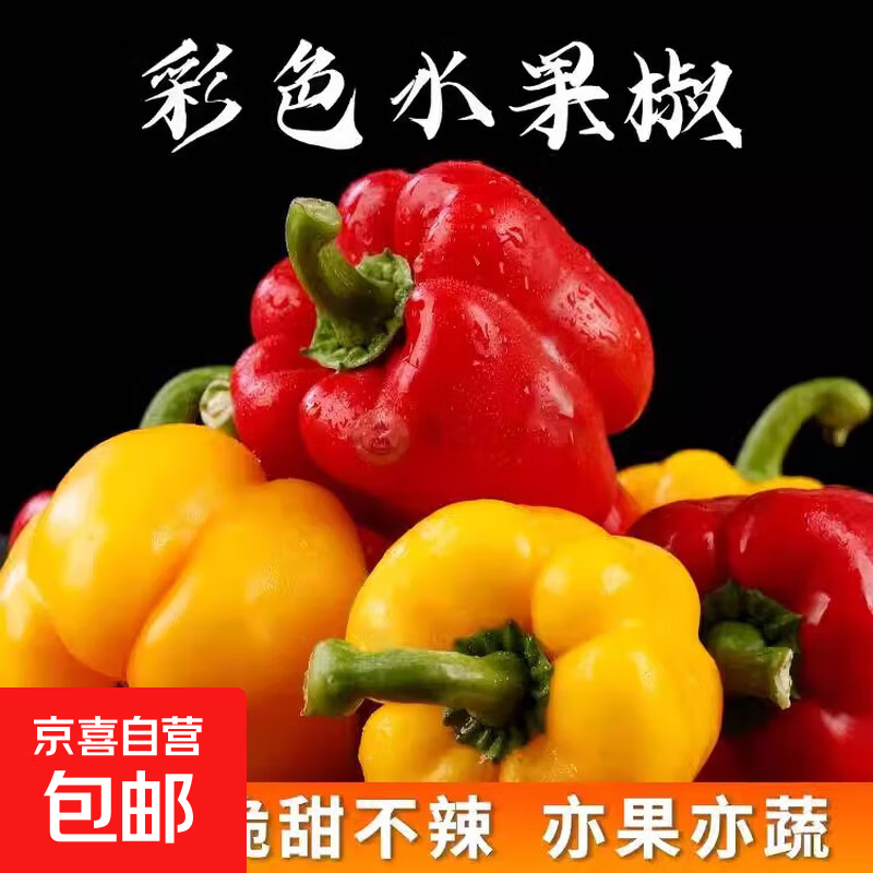 山东双色水果彩椒圆椒产地直发 红黄双色水果彩椒 2斤