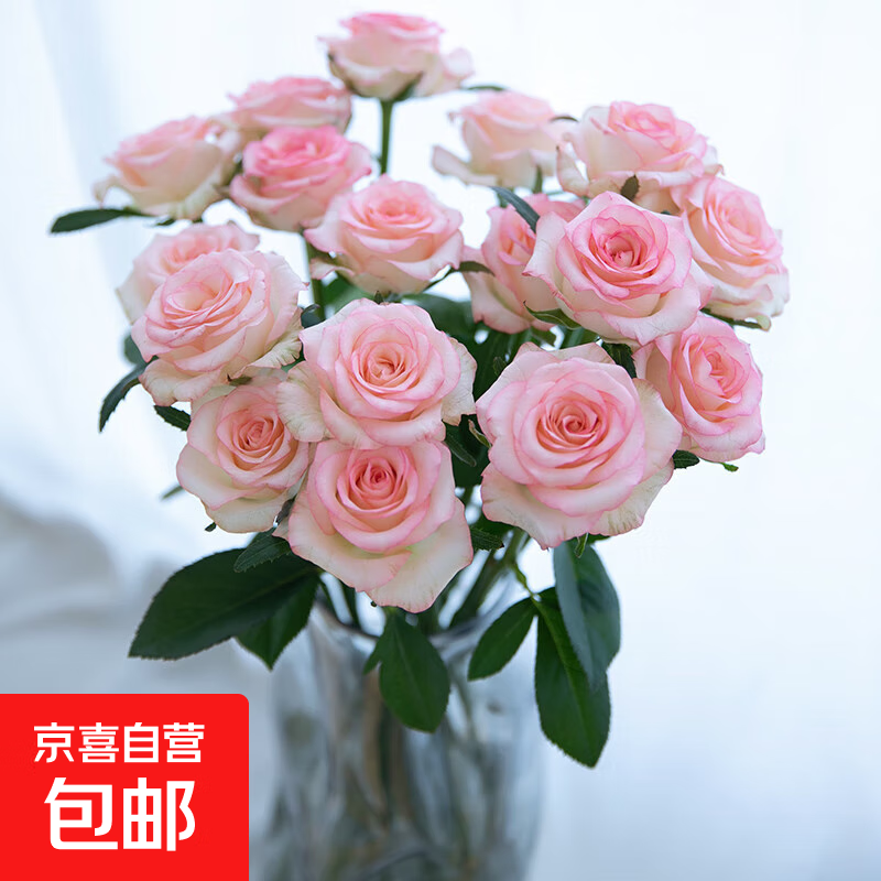 õ�廨�����ɫ������������Ů���Ѽ�ͥ�廨�滨ɽ������ֱ��4 õ�������ɫ10֦��40cm����