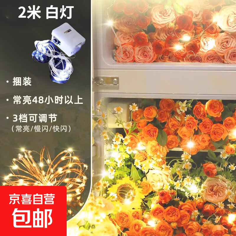 灯串小彩灯闪灯串灯满天星灯礼物盒装饰房间生日场景布置氛围灯带 正白2米20灯【自带电池】