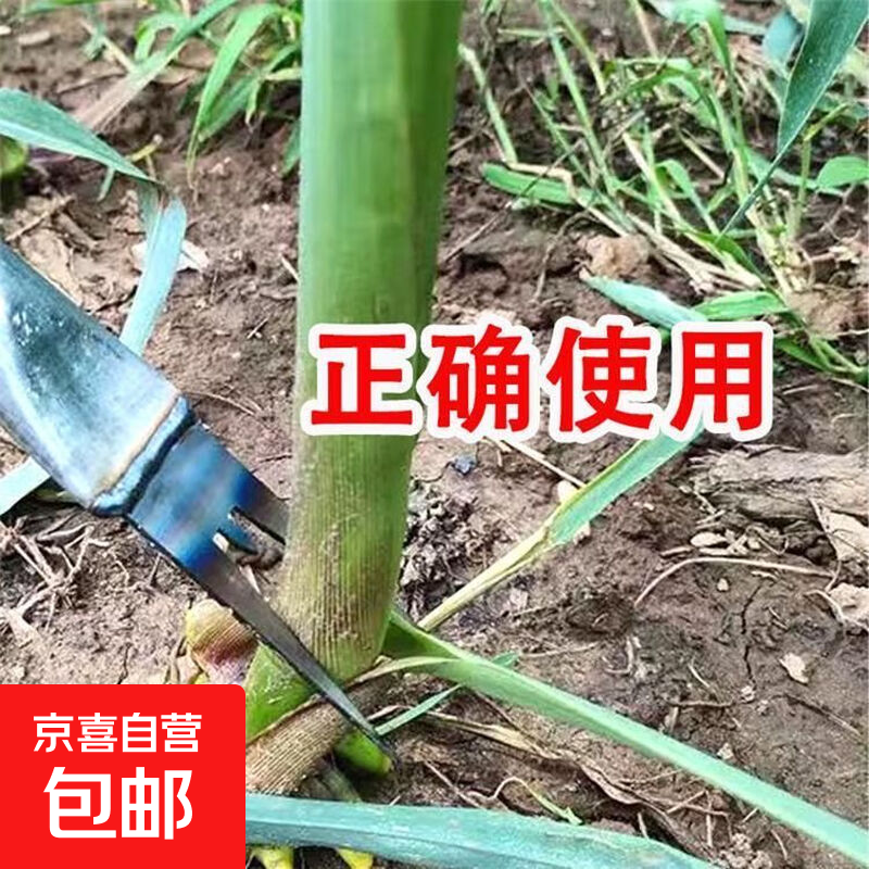 掰玉米芽神器