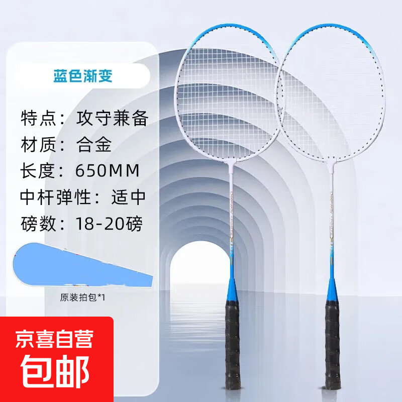 德尔惠羽毛球拍双拍正品比赛耐用型超轻成人合金拍羽毛球球拍套装 德尔惠【白蓝渐变款】3球+拍包】